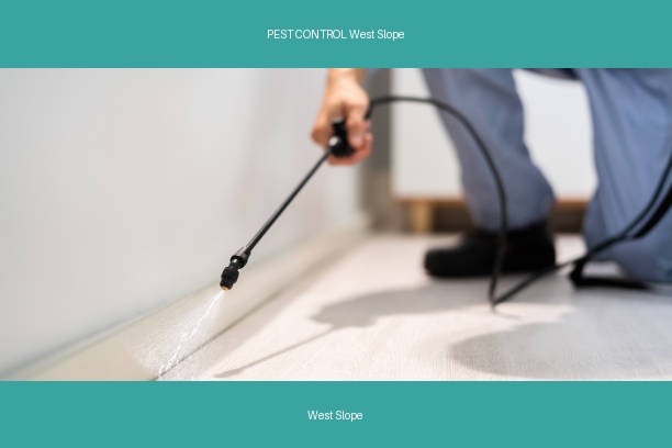 PEST CONTROL West Slope